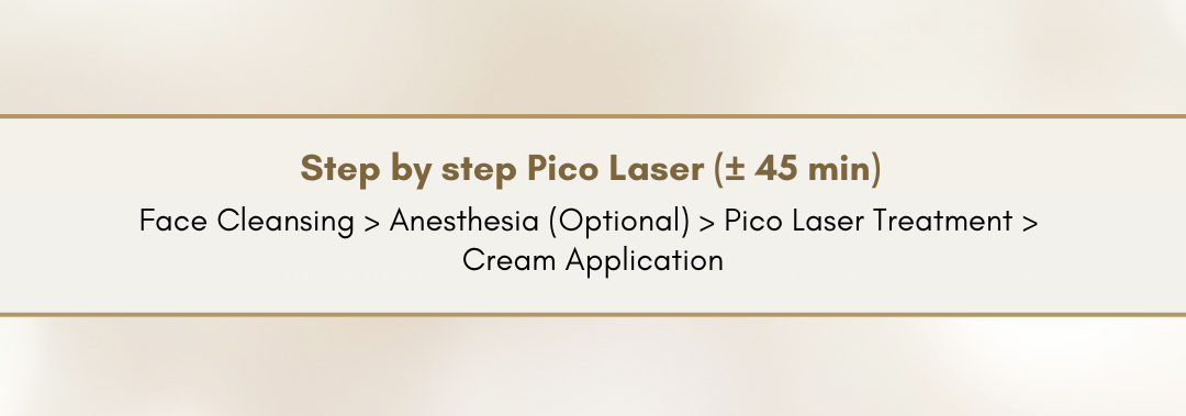 Step by Step Pico Laser